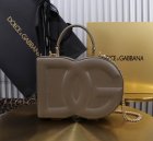 Dolce & Gabbana Original Quality Handbags 166