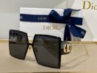 DIOR High Quality Sunglasses 1133