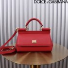 Dolce & Gabbana Original Quality Handbags 256