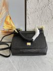 Dolce & Gabbana Original Quality Handbags 63