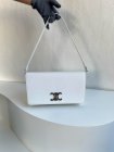 CELINE High Quality Handbags 168