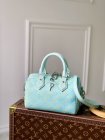 Louis Vuitton Original Quality Handbags 2044