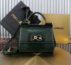 Dolce & Gabbana Original Quality Handbags 337