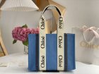Chloe Original Quality Handbags 141
