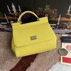 Dolce & Gabbana High Quality Handbags 146