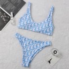 DIOR Bikini 74