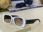 DIOR High Quality Sunglasses 224