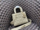 DIOR High Quality Handbags 103