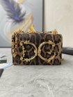 Dolce & Gabbana Original Quality Handbags 67