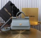 Dolce & Gabbana Original Quality Handbags 217