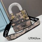DIOR High Quality Handbags 431