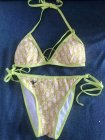 DIOR Bikini 58