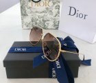 DIOR High Quality Sunglasses 713