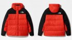The North Face Men's Outerwears 244