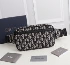 DIOR High Quality Handbags 05