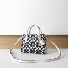 Coach High Quality Handbags 717