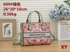 DIOR Normal Quality Handbags 195