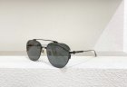 DIOR High Quality Sunglasses 496