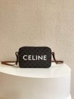 CELINE High Quality Handbags 175