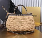 Dolce & Gabbana High Quality Handbags 364