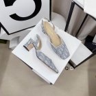 DIOR Women's Shoes 340