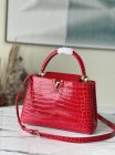 Louis Vuitton Original Quality Handbags 1504