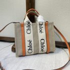Chloe Original Quality Handbags 317