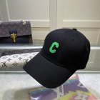 CELINE Hats 229