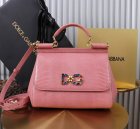 Dolce & Gabbana Original Quality Handbags 431