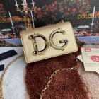 Dolce & Gabbana High Quality Handbags 264