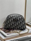 DIOR High Quality Handbags 35