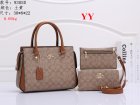 Coach Normal Quality Handbags 165