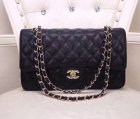 Chanel High Quality Handbags 435