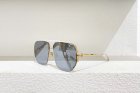 DIOR High Quality Sunglasses 1104