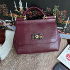 Dolce & Gabbana High Quality Handbags 161