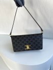 CELINE High Quality Handbags 165