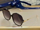 DIOR High Quality Sunglasses 1525