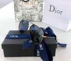 DIOR High Quality Sunglasses 1039