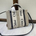 Chloe Original Quality Handbags 315