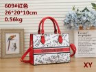 DIOR Normal Quality Handbags 105