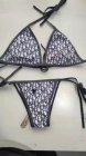 DIOR Bikini 66
