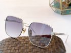 Bottega Veneta Sunglasses 248