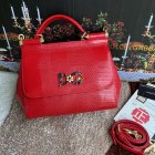 Dolce & Gabbana High Quality Handbags 232