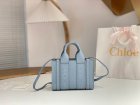 Chloe Original Quality Handbags 38