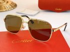 Cartier High Quality Sunglasses 1006