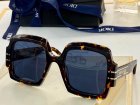 DIOR High Quality Sunglasses 1421