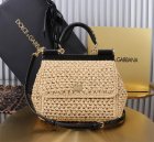 Dolce & Gabbana Original Quality Handbags 319