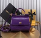 Dolce & Gabbana High Quality Handbags 631