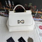 Dolce & Gabbana High Quality Handbags 156