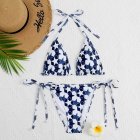 DIOR Bikini 104